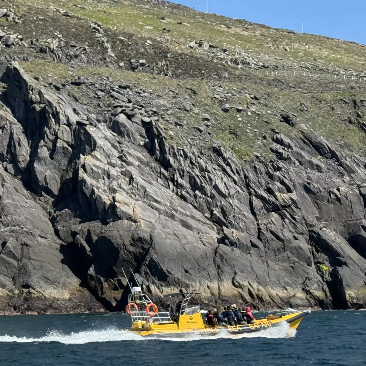 Sea Safari at Slea Head. Ventry Farm Cottages, Dingle Peninsula, Ventry Beach.