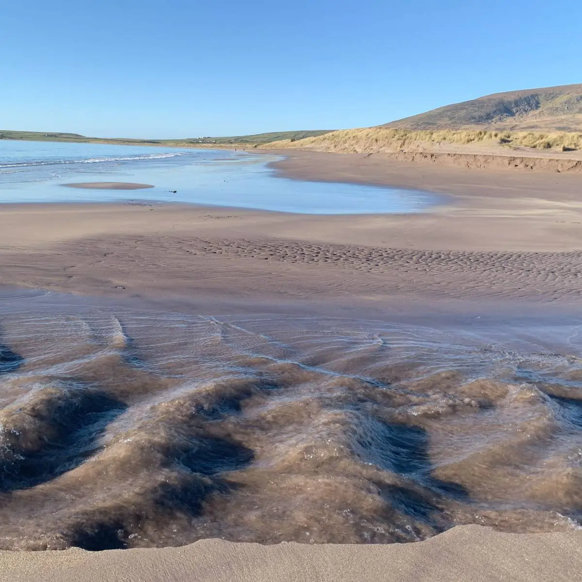 Ventry Beach - A stunning sandy beach right on Ventry Farm's doorstep. Dingle Peninsula, Co, Kerry, Ireland.