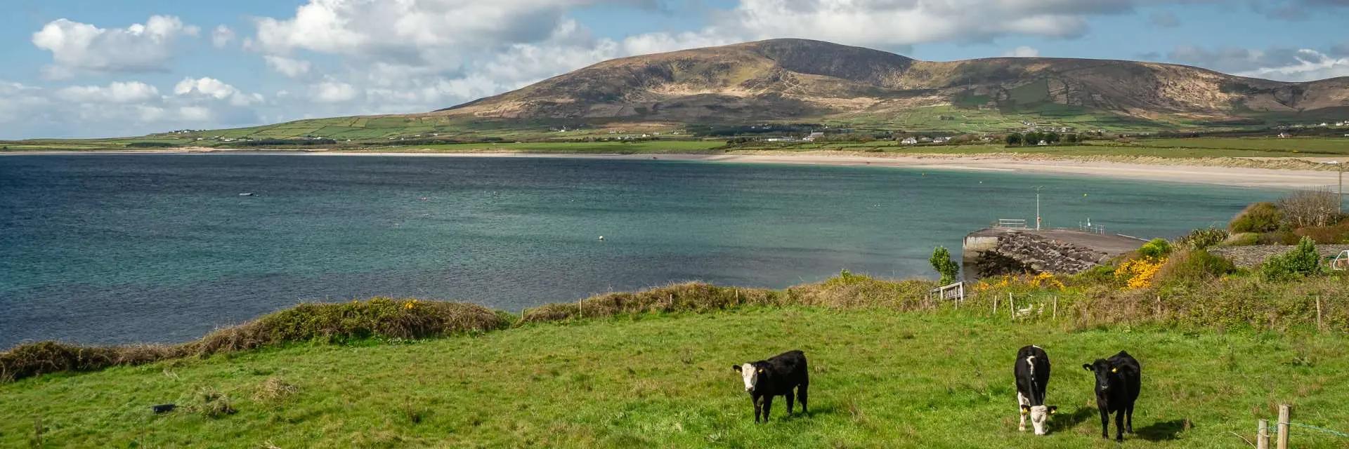 Ventry Farm Cottages. Just a few minutes walk to Ventry Beach. Only 10 minutes drive to Dinge.